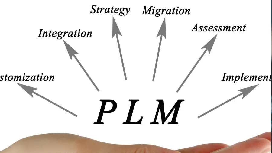 plm